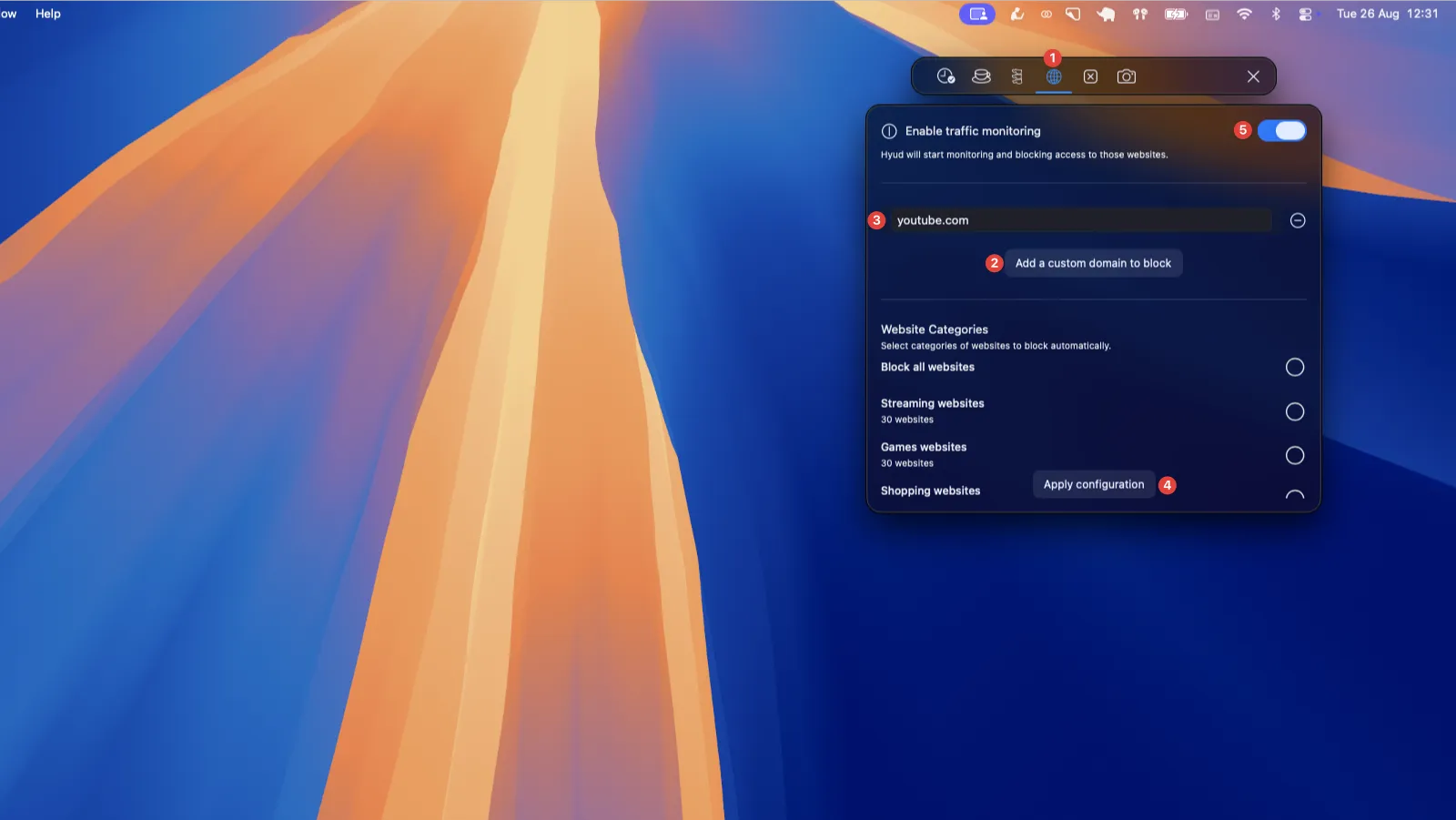 The 5th step of the tutorial: click on the 'I allowed' button to confirm to Hyud that you authorized it to run in background.